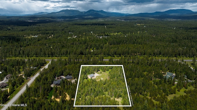 drone / aerial view featuring a mountain view