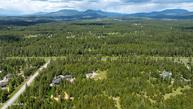 drone / aerial view with a mountain view