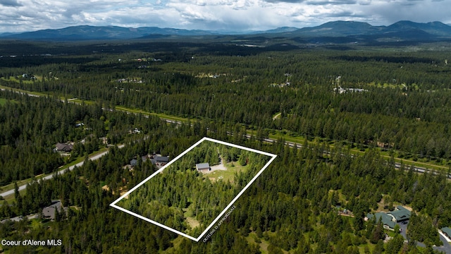 aerial view featuring a mountain view