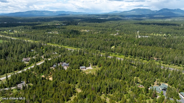 aerial view featuring a mountain view