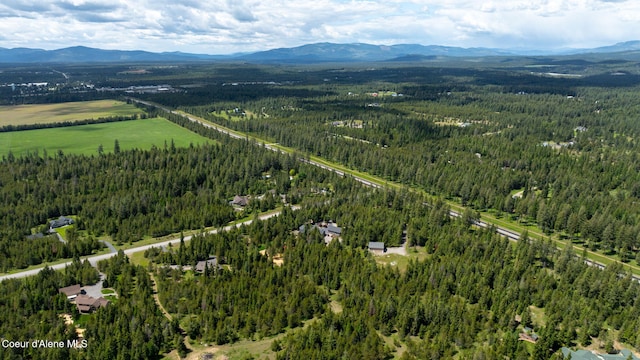 aerial view featuring a mountain view