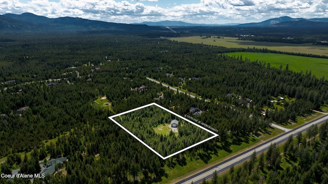 birds eye view of property featuring a mountain view