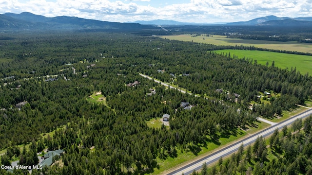 birds eye view of property featuring a mountain view