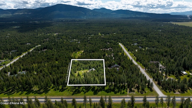 aerial view featuring a mountain view