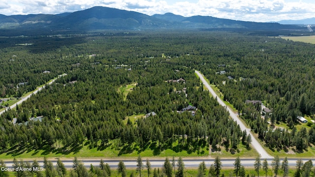 aerial view featuring a mountain view