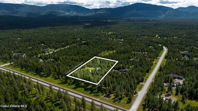 drone / aerial view featuring a mountain view