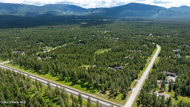 birds eye view of property featuring a mountain view