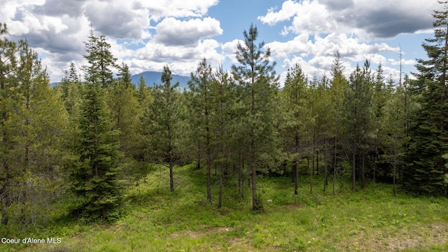 view of nature featuring a mountain view