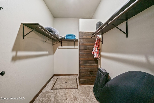 spacious closet featuring carpet flooring