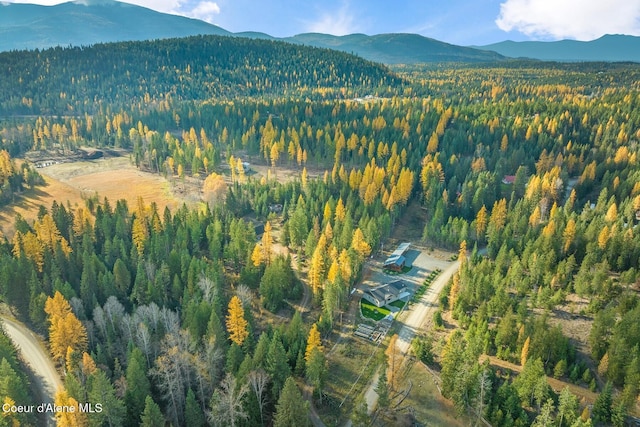 bird's eye view with a mountain view