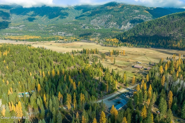 648 Curley Creek Rd, Moyie Springs, ID 83845 - mountain view