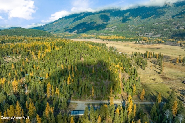648 Curley Creek Rd, Moyie Springs, ID 83845 - view of mountain background featuring a heavily wooded area