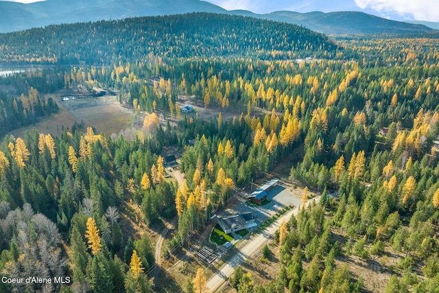 drone / aerial view with a mountain view