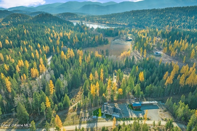 bird's eye view with a mountain view