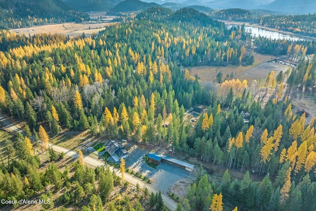 aerial view with a mountain view