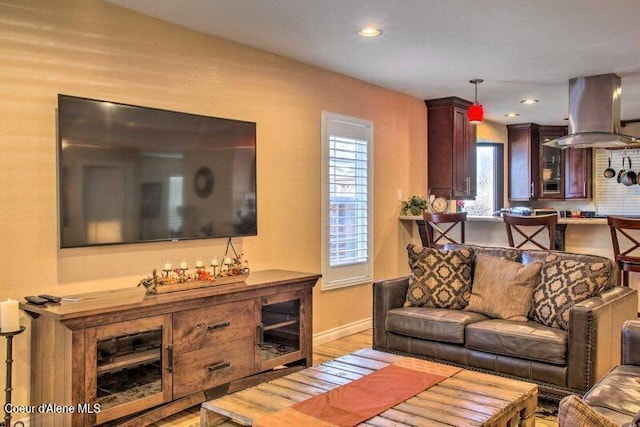 living room with hardwood / wood-style flooring and a wealth of natural light