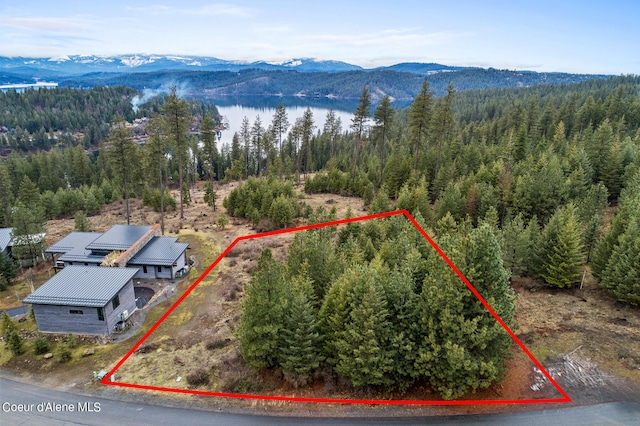 7159 S Buckrail Rd, Harrison ID, 83833 land for sale