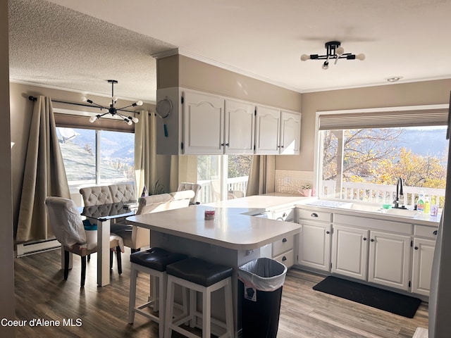 kitchen with light hardwood / wood-style flooring, white cabinets, and a healthy amount of sunlight