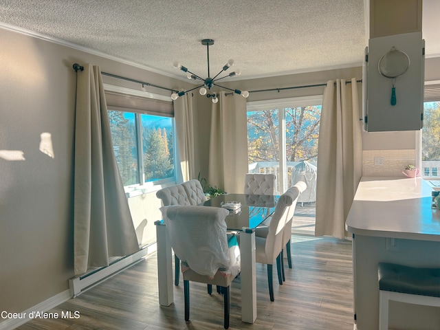 dining room featuring a healthy amount of sunlight, an inviting chandelier, and hardwood / wood-style floors