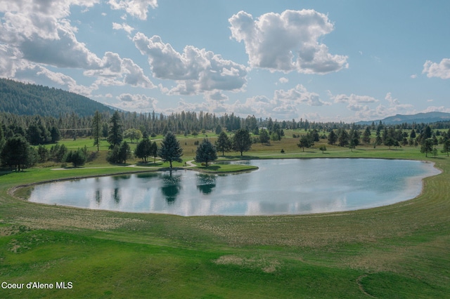 110 Par Loop, Blanchard, ID 83804 - photo 15