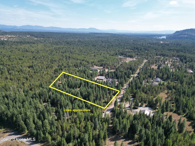 birds eye view of property with a mountain view