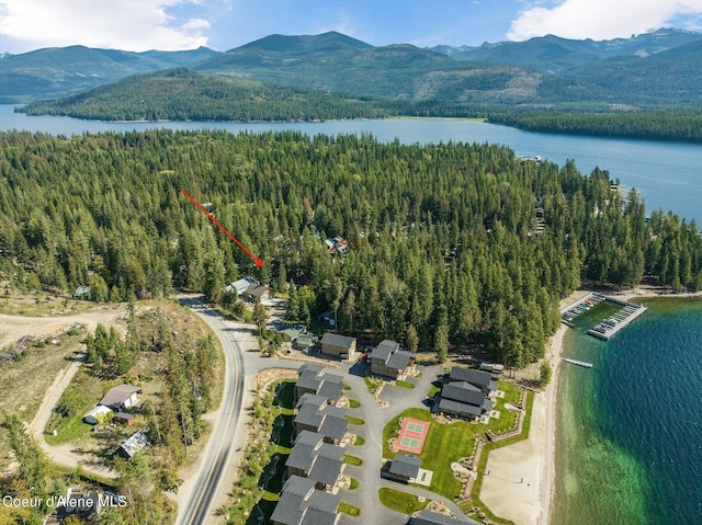 aerial view with a water and mountain view