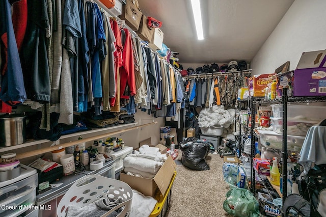 spacious closet featuring carpet