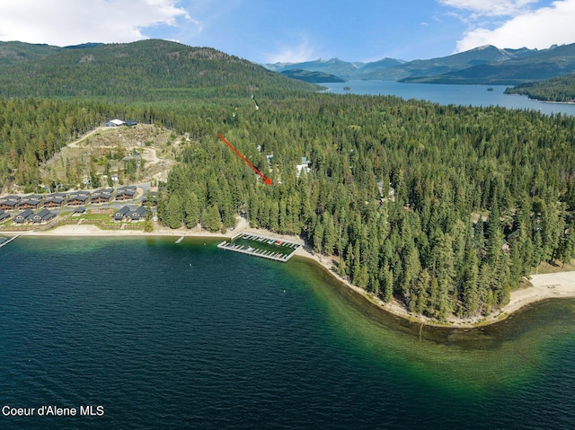 birds eye view of property with a water and mountain view