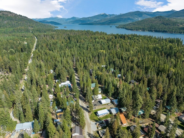 bird's eye view with a water and mountain view