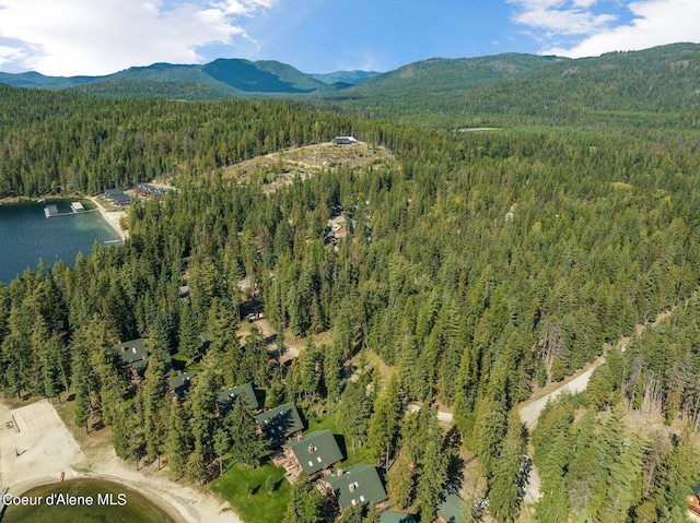 birds eye view of property featuring a water and mountain view