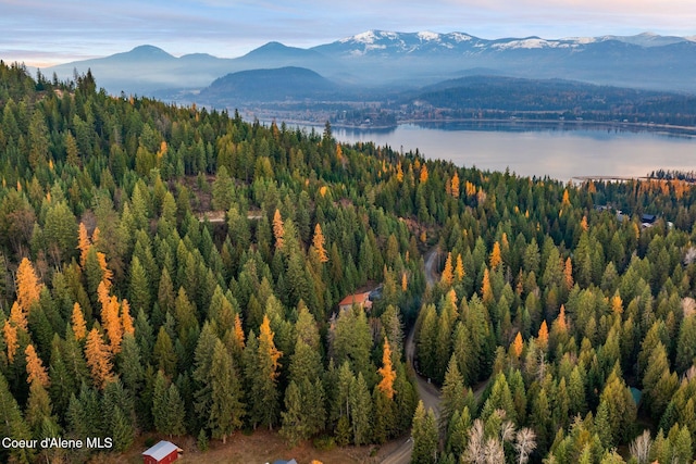 bird's eye view featuring a water and mountain view