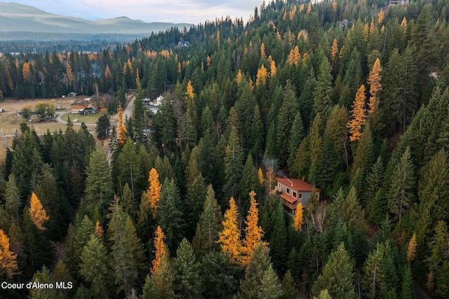 birds eye view of property featuring a mountain view