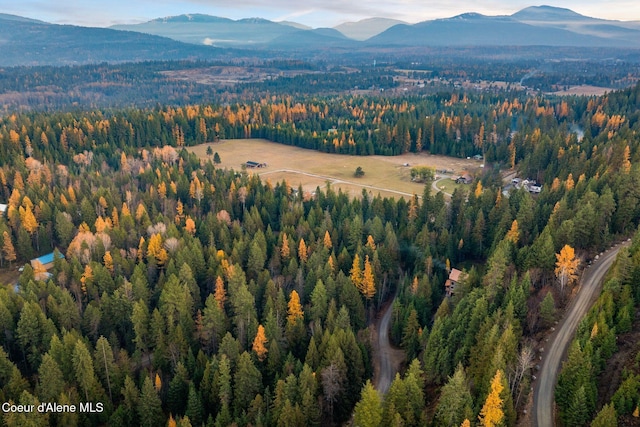 drone / aerial view featuring a mountain view