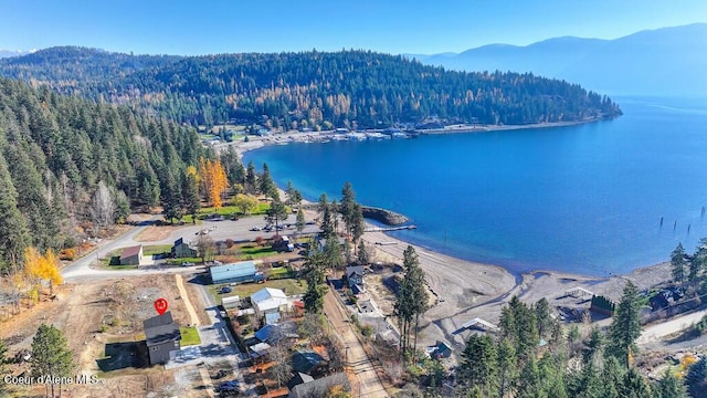47 Cozy Ln, Sagle, ID 83860 - photo 53