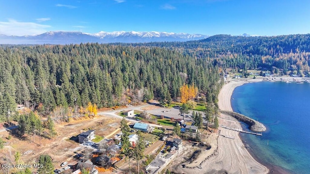 47 Cozy Ln, Sagle, ID 83860 - photo 54