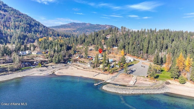 47 Cozy Ln, Sagle, ID 83860 - photo 60