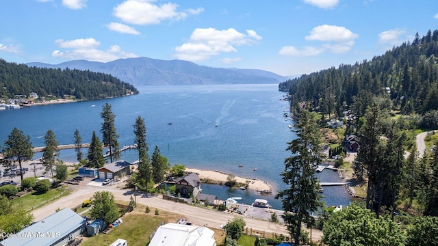 47 Cozy Ln, Sagle, ID 83860 - photo 63