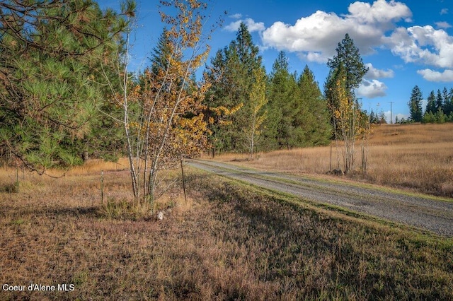 14895 N Crystal Springs Ln, Rathdrum, ID 83858 - view of street