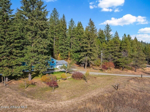 14895 N Crystal Springs Ln, Rathdrum, ID 83858 - view of yard with a forest view