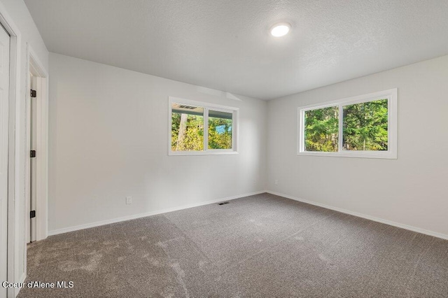 14895 N Crystal Springs Ln, Rathdrum, ID 83858 - carpeted spare room with baseboards and a textured ceiling