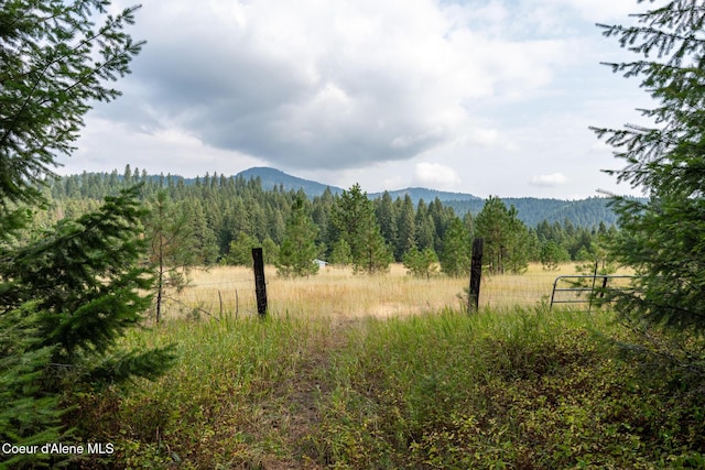 14895 N Crystal Springs Ln, Rathdrum, ID 83858 - view of mountain background with a heavily wooded area