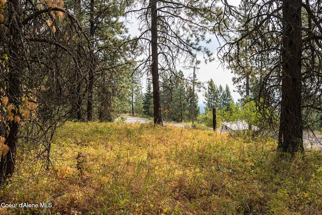 14895 N Crystal Springs Ln, Rathdrum, ID 83858 - view of tree filled area