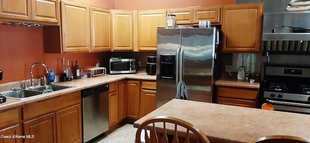 kitchen with appliances with stainless steel finishes and sink