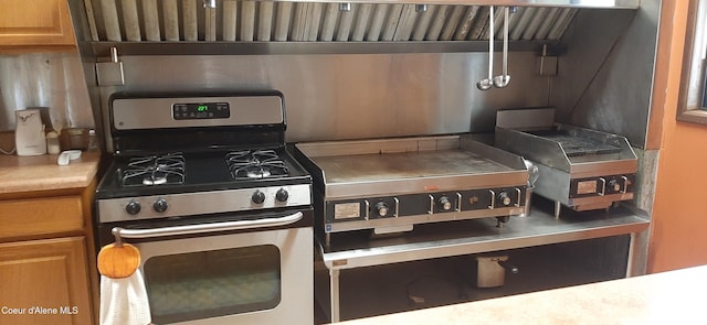 kitchen with stainless steel range with gas stovetop