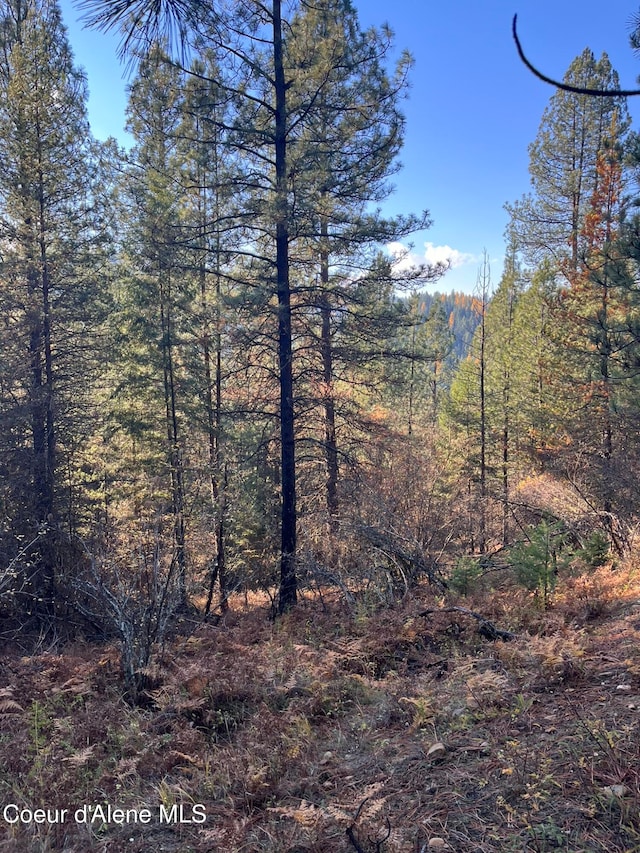 20.0ACS French Gulch Rd, Kingston ID, 83839 land for sale