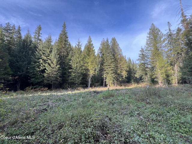 LOT8 Bear Creek Rd, Kingston, ID 83839 - photo 6