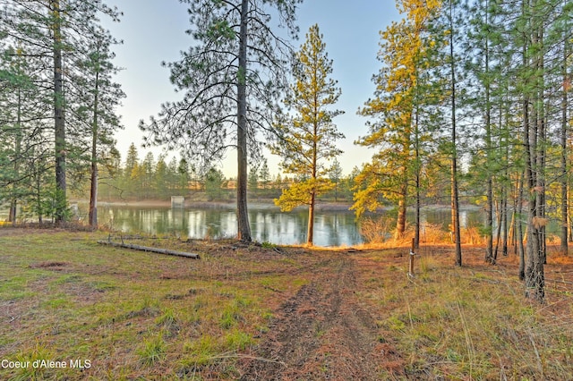 18469 W Riverview Dr, Post Falls, ID 83854 - photo 64