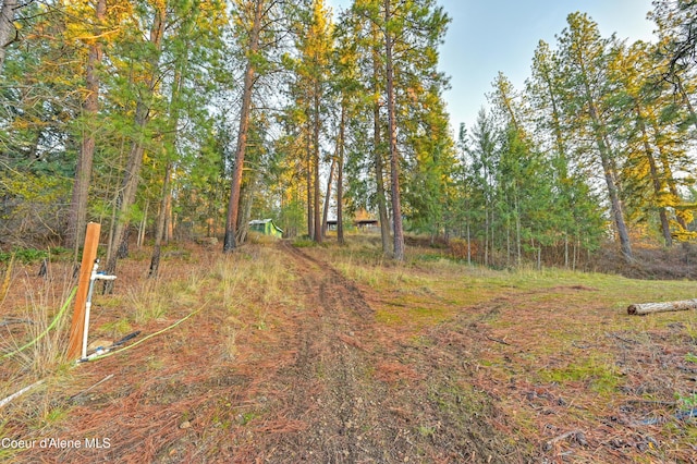 18469 W Riverview Dr, Post Falls, ID 83854 - photo 66