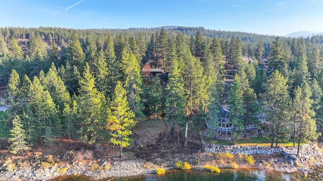 18469 W Riverview Dr, Post Falls, ID 83854 - photo 70