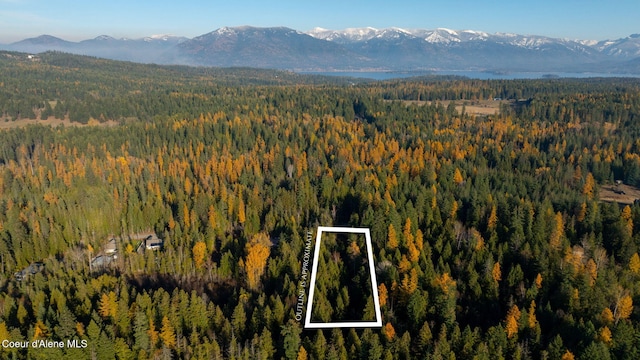 9816 Bottle Bay Rd, Sagle ID, 83860 land for sale